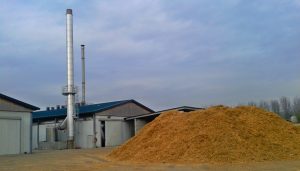 biomass chp
